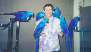 Patrick with 6 Hyacinth Macaws